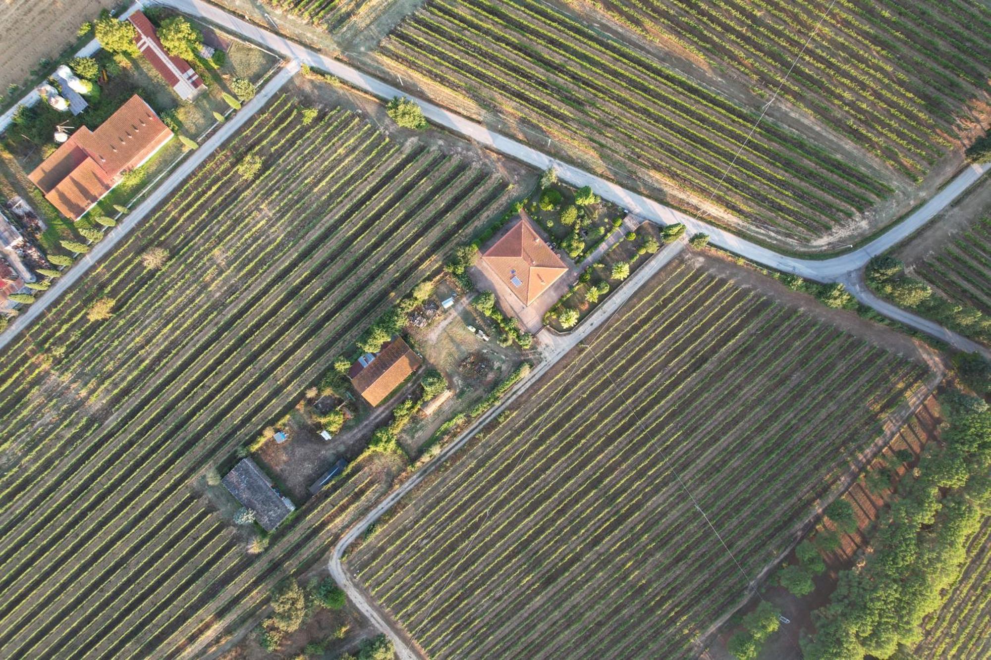 Cappannelle Country House Tuscany Кастільйон-Фібоккі Екстер'єр фото