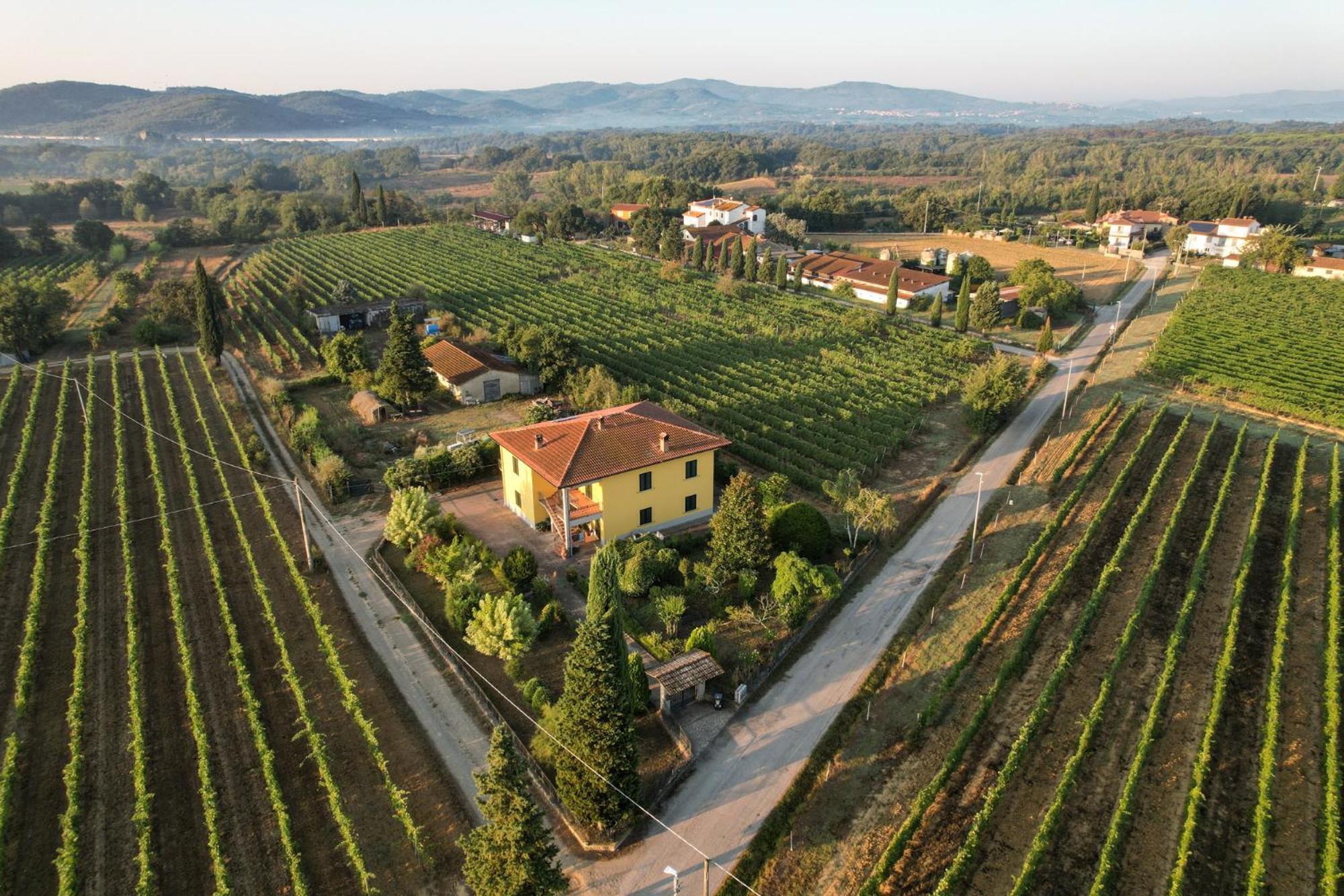 Cappannelle Country House Tuscany Кастільйон-Фібоккі Екстер'єр фото