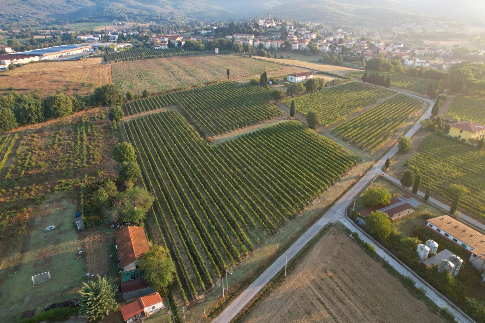 Cappannelle Country House Tuscany Кастільйон-Фібоккі Екстер'єр фото