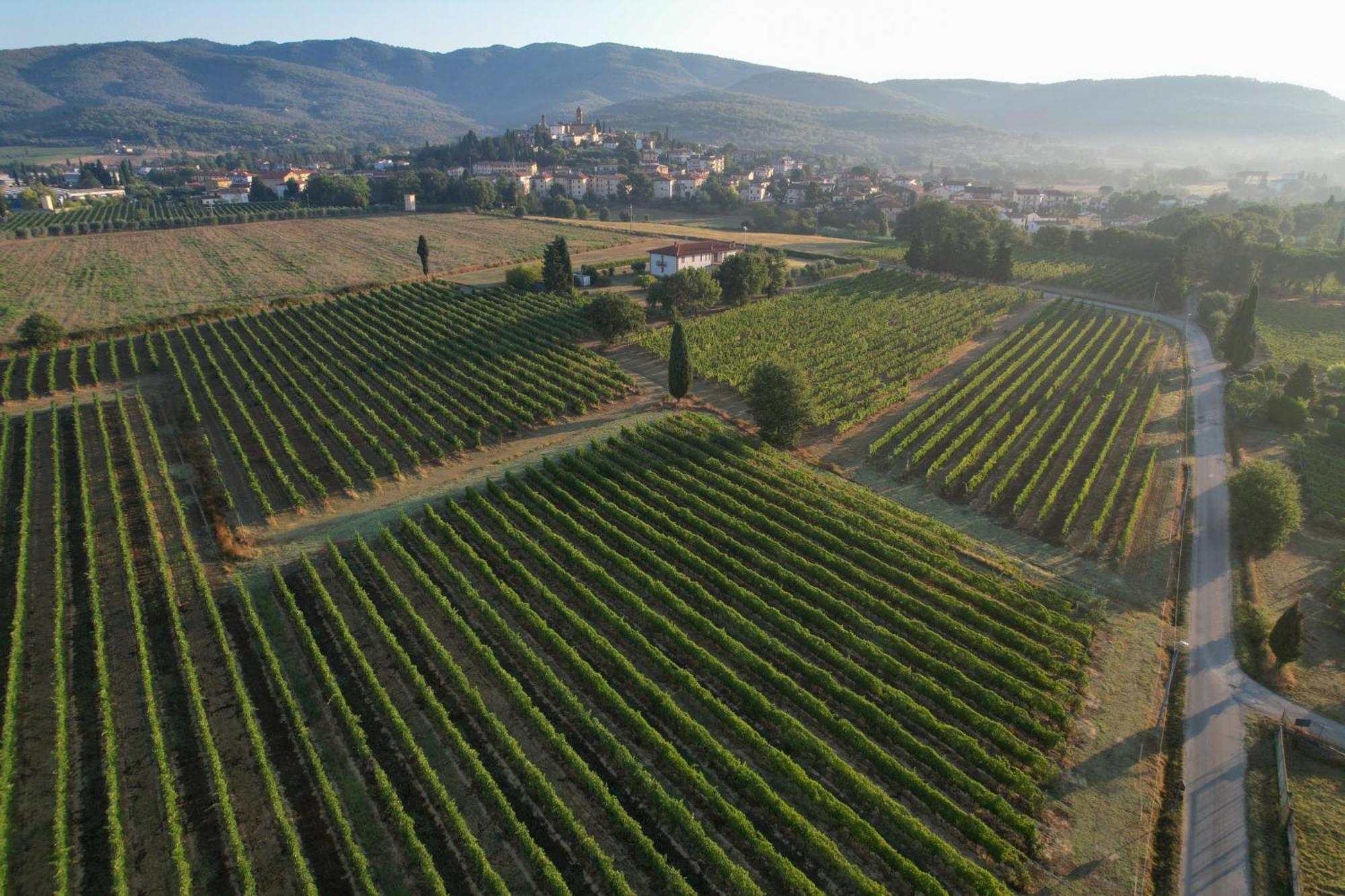 Cappannelle Country House Tuscany Кастільйон-Фібоккі Екстер'єр фото