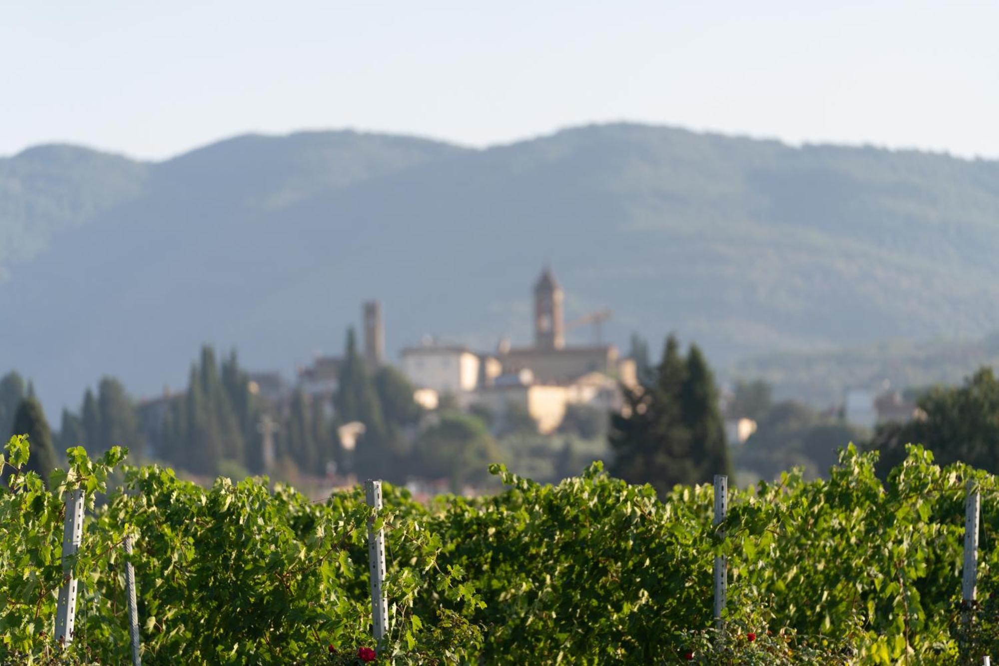 Cappannelle Country House Tuscany Кастільйон-Фібоккі Екстер'єр фото